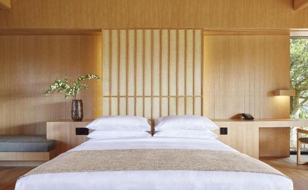 Amanemu